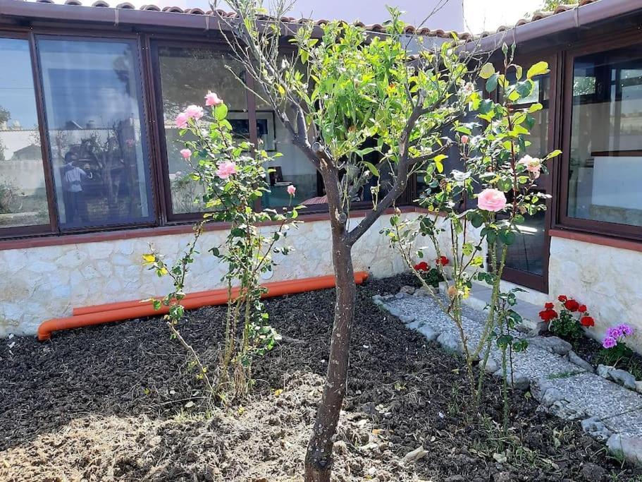 Cammini Di Sale Casa Vacanze Tra Le Saline Torre Nubia Екстериор снимка